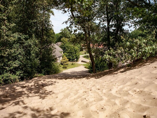 Vista desde la propiedad