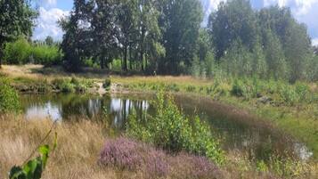 A natural landscape with a pond surrounded by trees and vegetation.