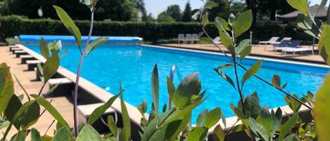 Casa | Piscina | Una piscina al aire libre