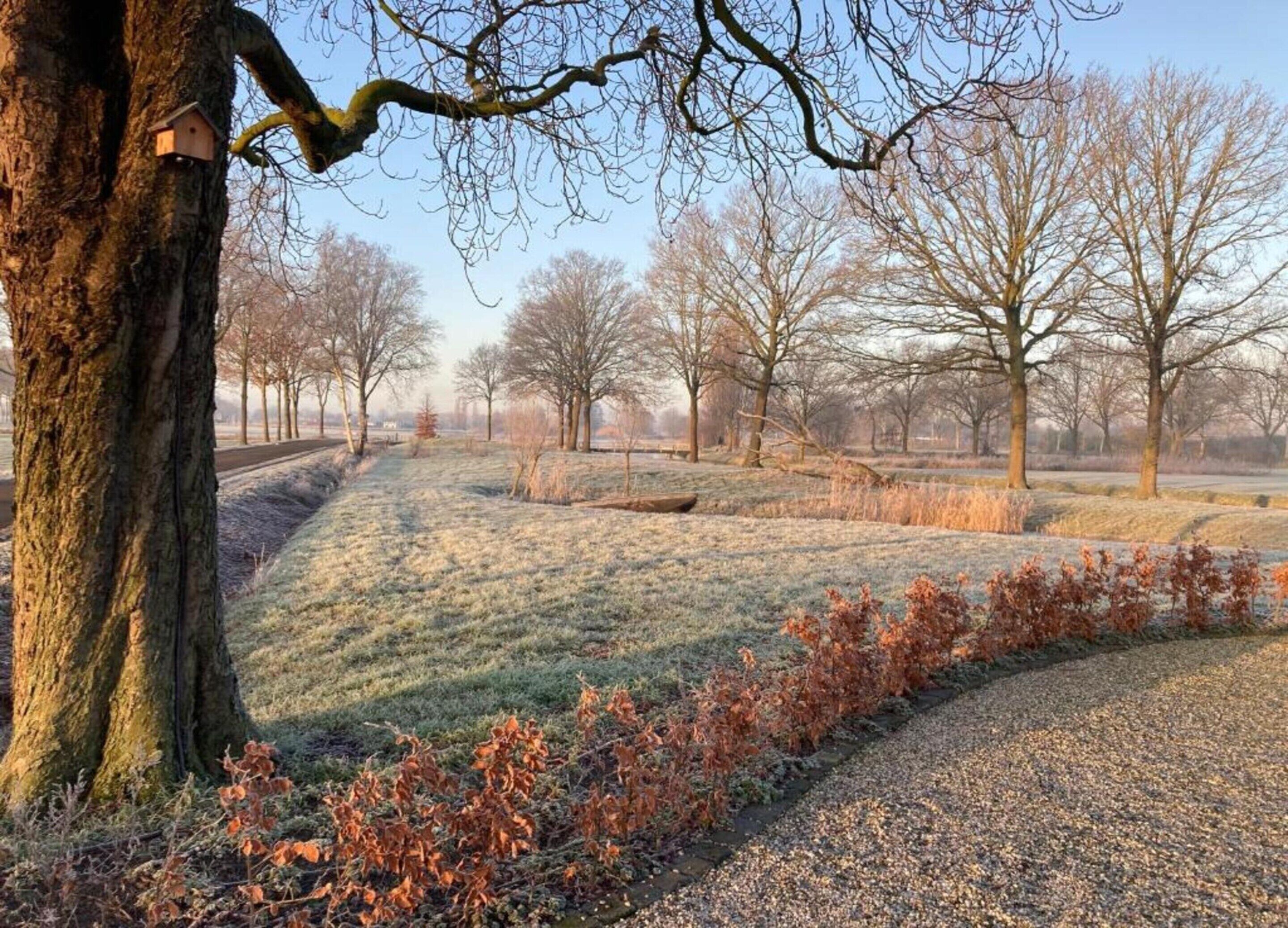 Een park met een grindpad, bomen en een houten vogelhuisje.