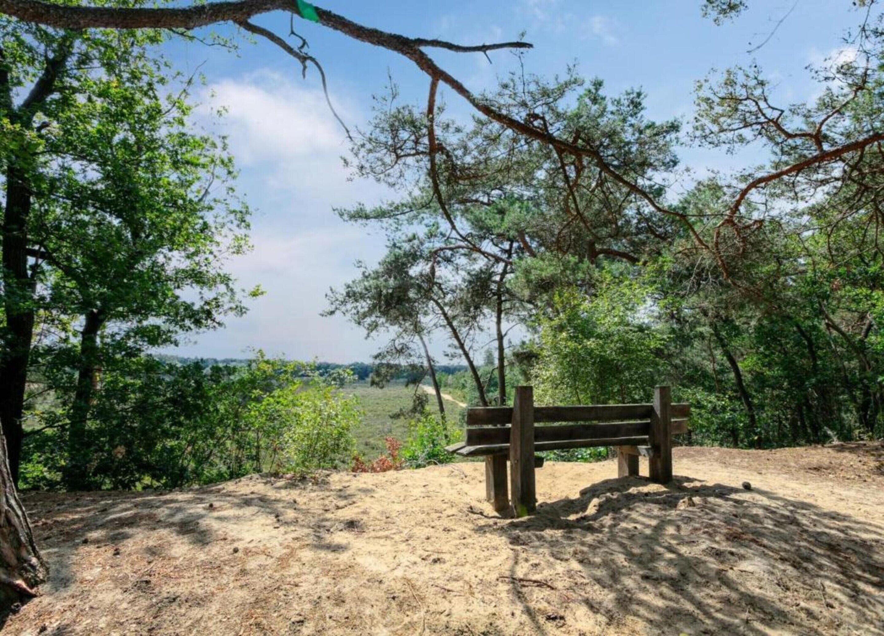 A bench in a natural setting with trees and a view of the landscape.