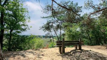 A bench in a natural setting with trees and a view of the landscape.
