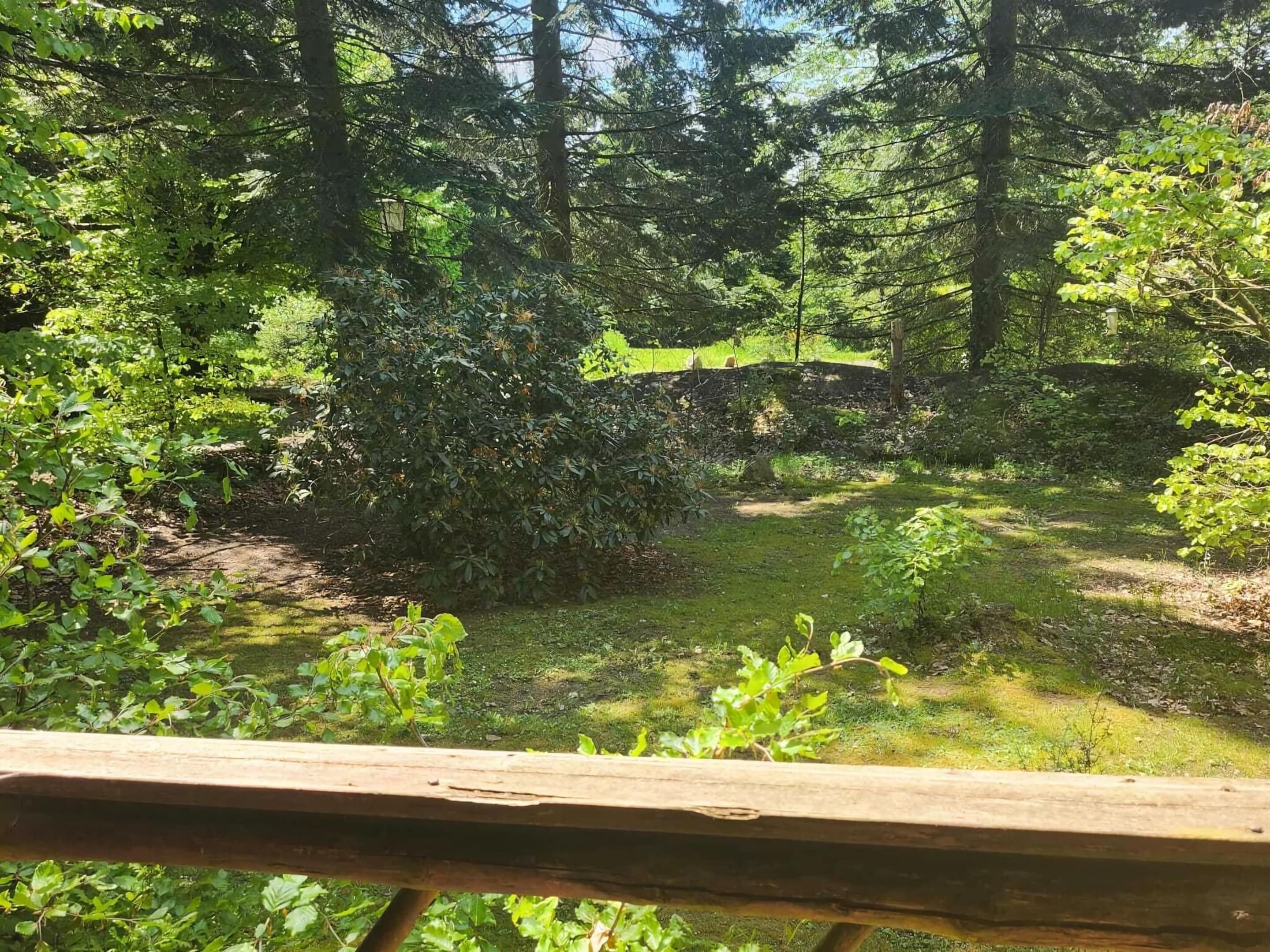 A forested area with a dirt path and a wooden fence.