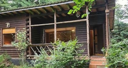 Tidy Furnished Wooden Chalet near Forest