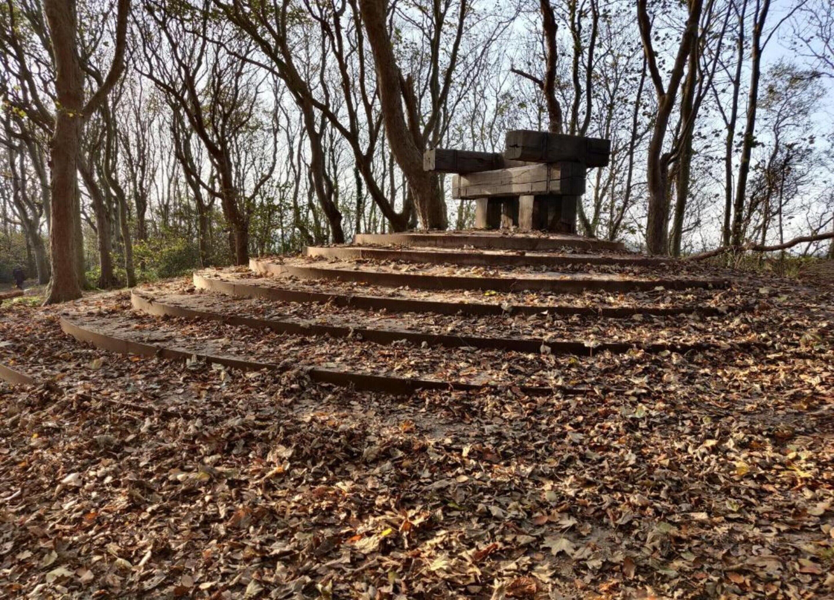 A circular stone structure with a bench at the top, surrounded by a forested area with fallen leaves.