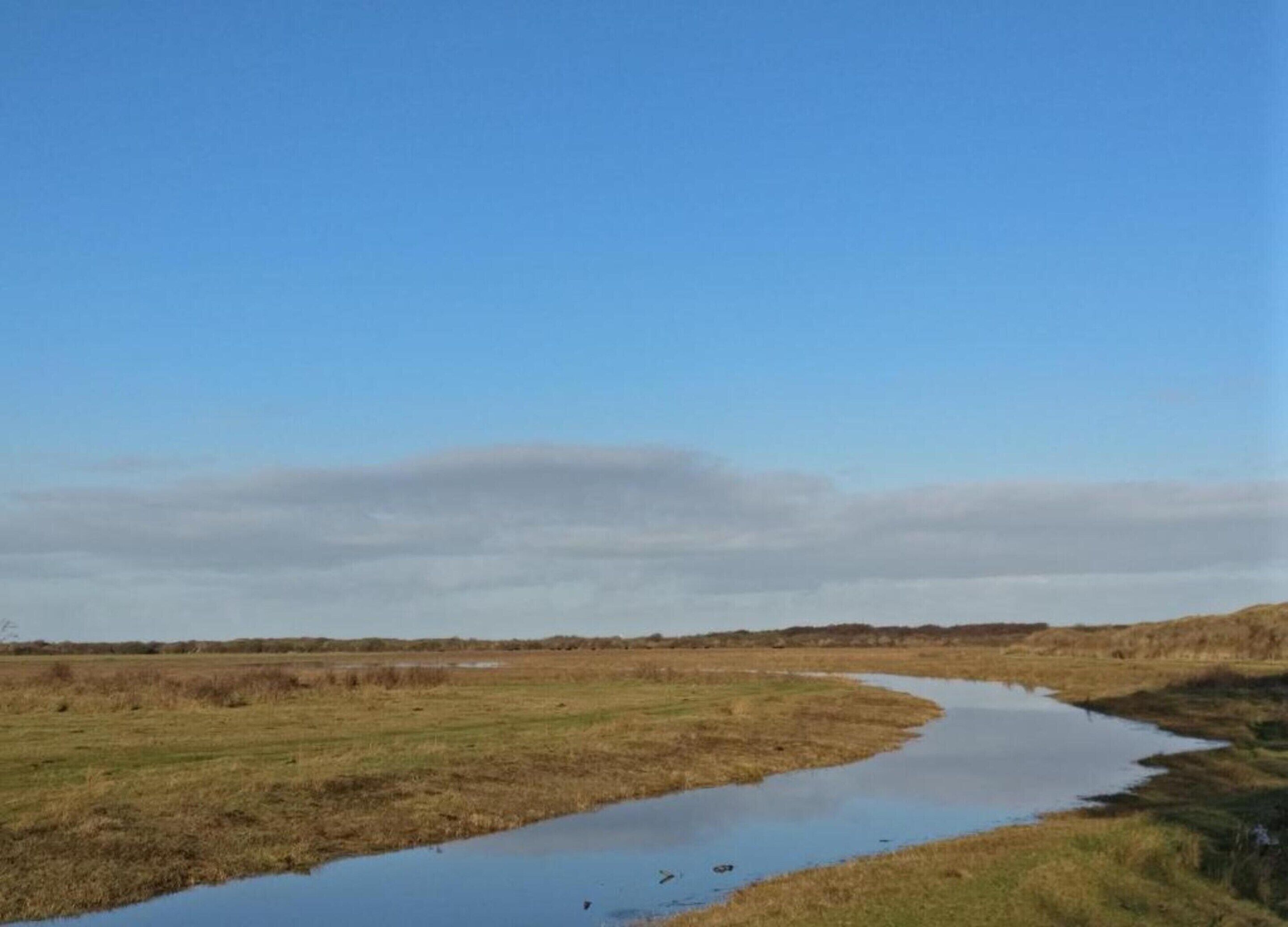 Un río serpentea por un paisaje llano y poco poblado, bajo un cielo despejado.