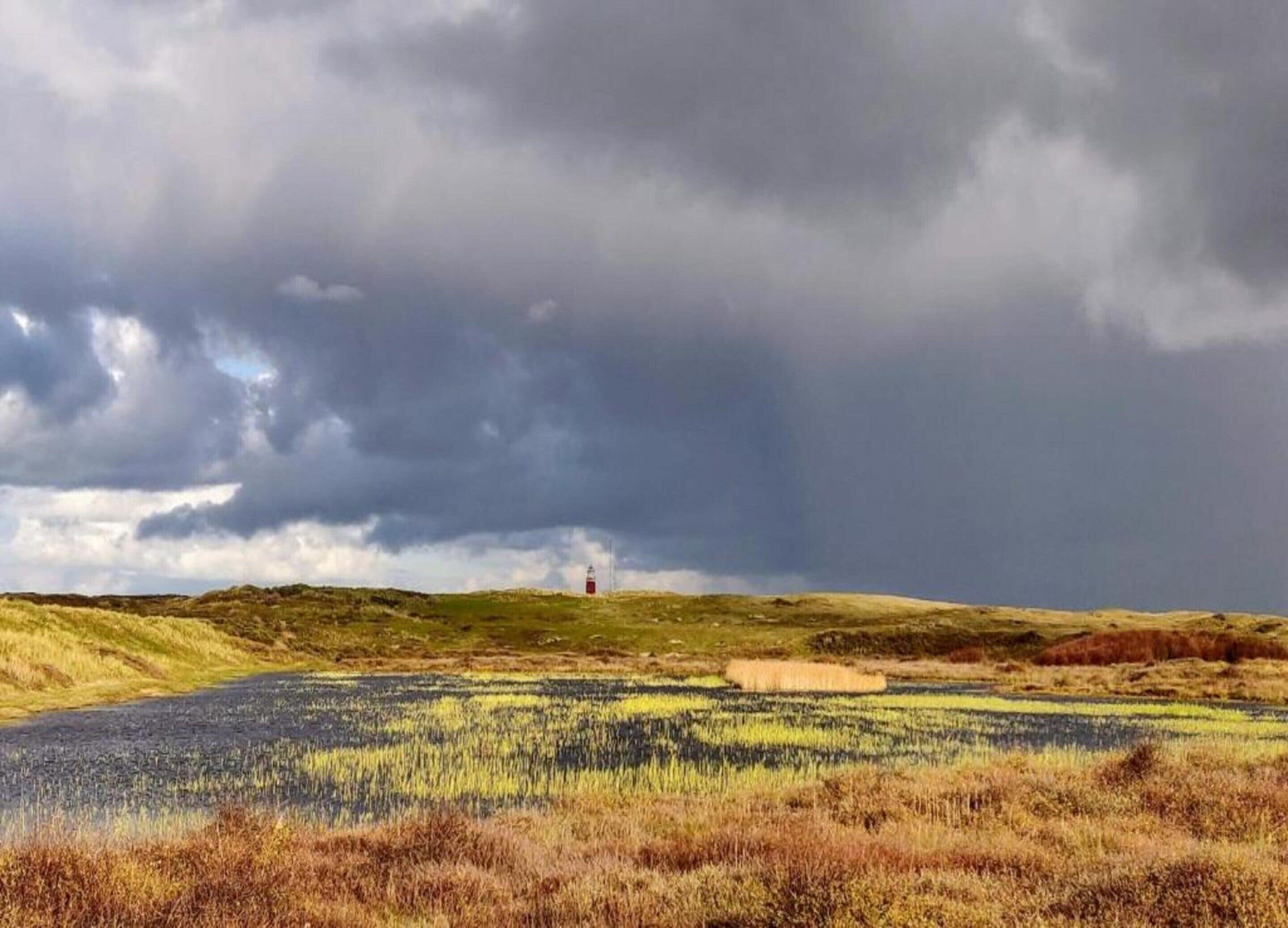 Eine Küstenlandschaft mit einem Leuchtturm auf einer grasbewachsenen Hügelkuppe unter bewölktem Himmel.