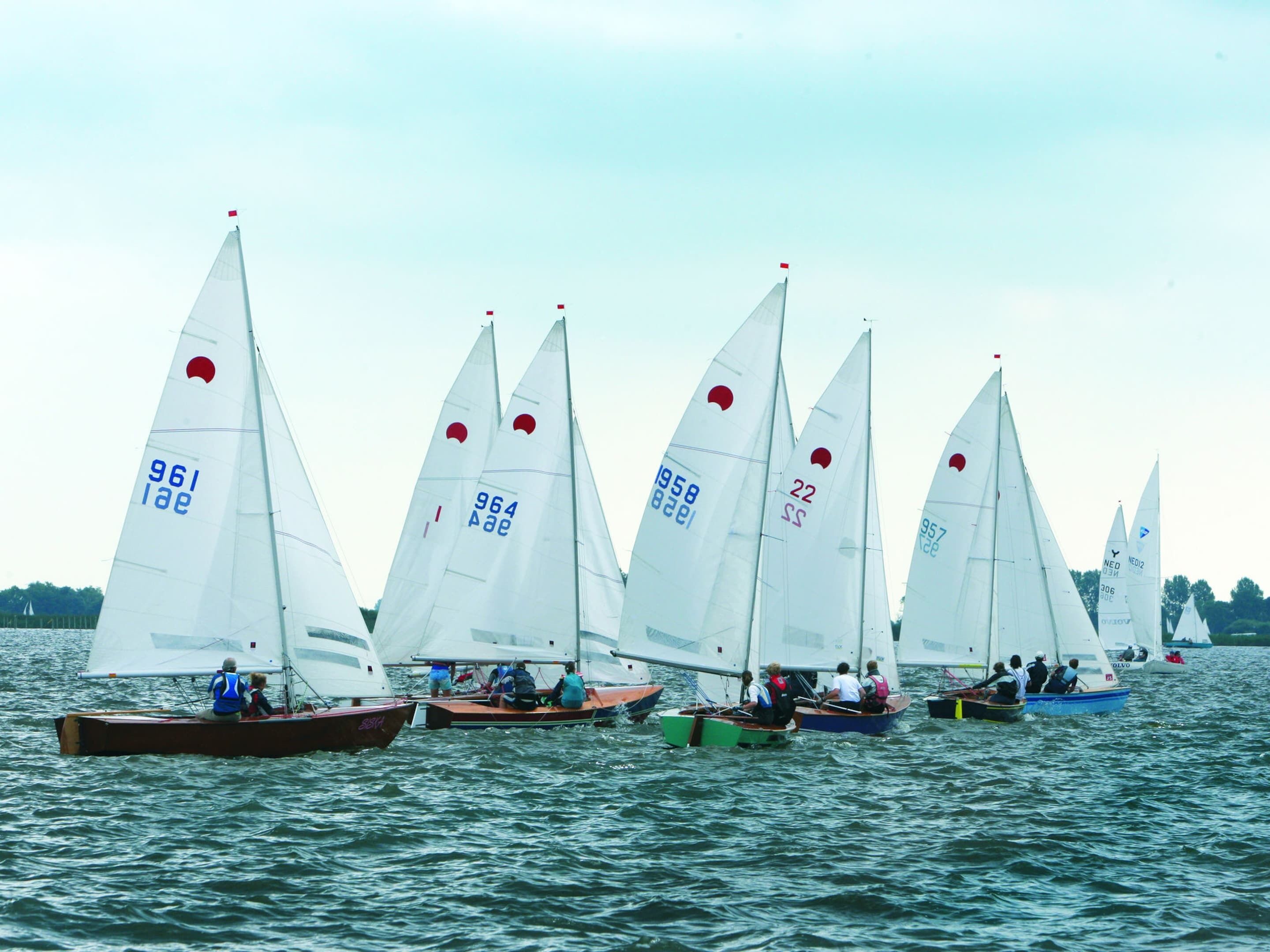 Eine Gruppe Segelboote auf dem Wasser.