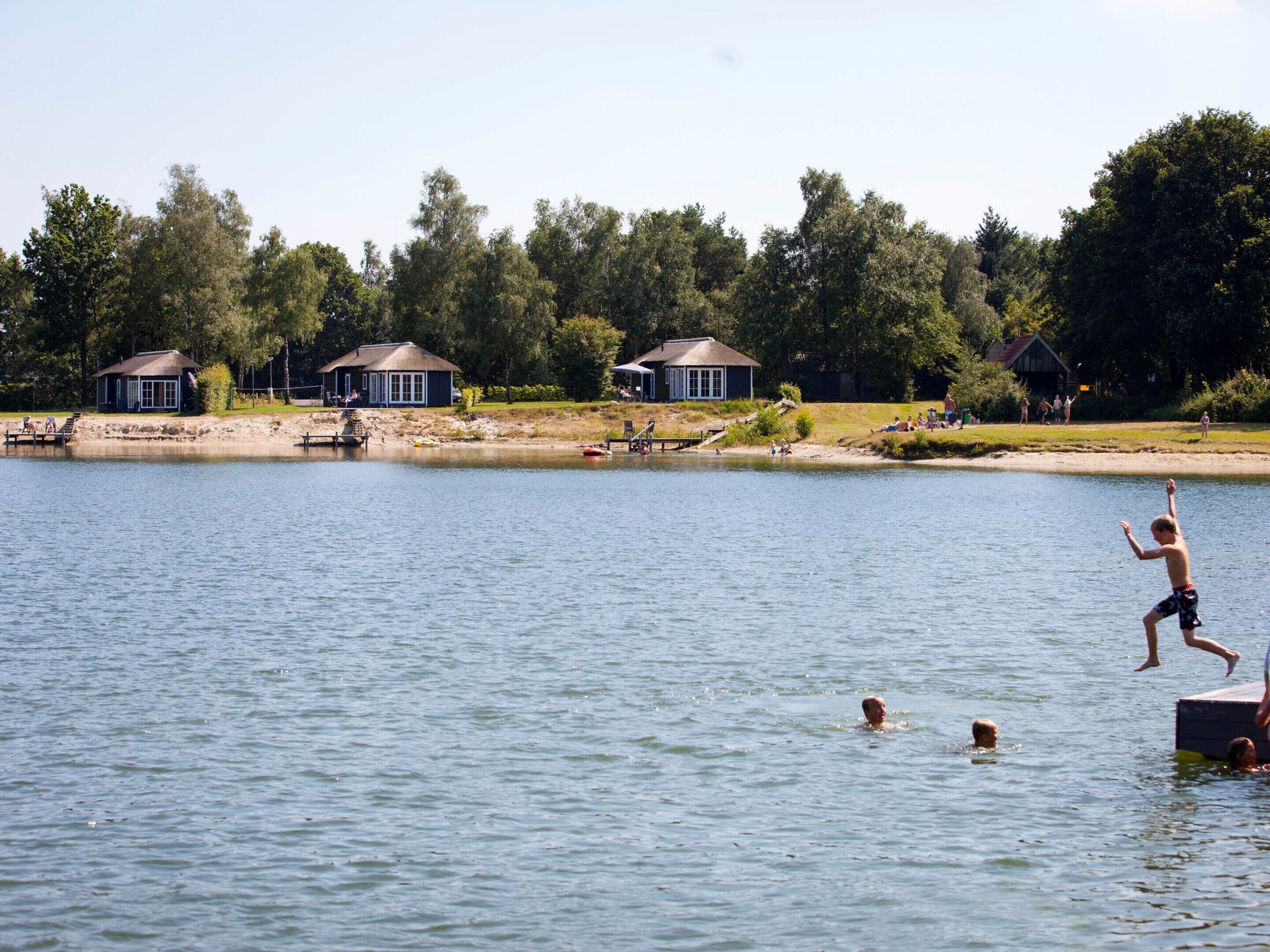 Escena junto a un lago con casas, un muelle y gente nadando y jugando.