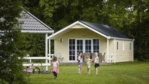 A building with a gabled roof and large windows, surrounded by a grassy area and trees. - Cozy Lodge in the Achterhoek (Winterswijk - Brinkheurne)