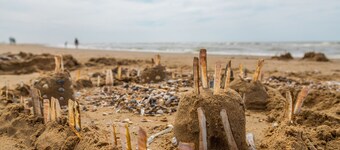 Comfortable Chalet, Dishwasher, Near the Sea in Noordwijk