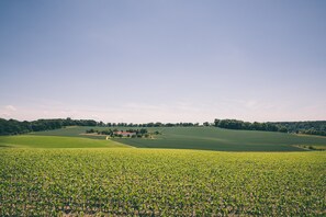 Bungalow | View from property