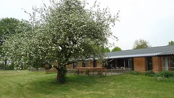 Terrein van de accommodatie