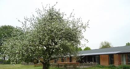 Semi-detached Home With a Dishwasher in the Betuwe