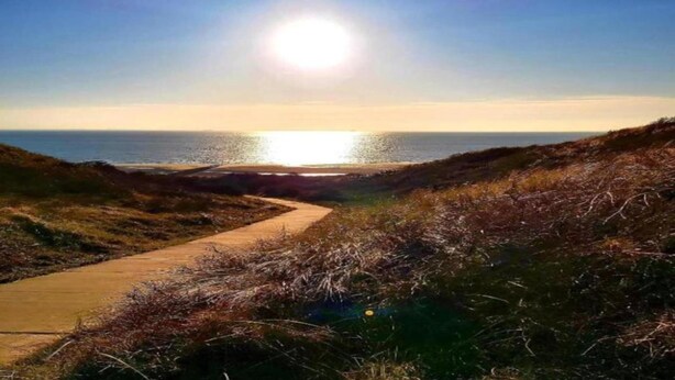 Un sentiero costiero che conduce verso il mare, con cielo sereno e sole.