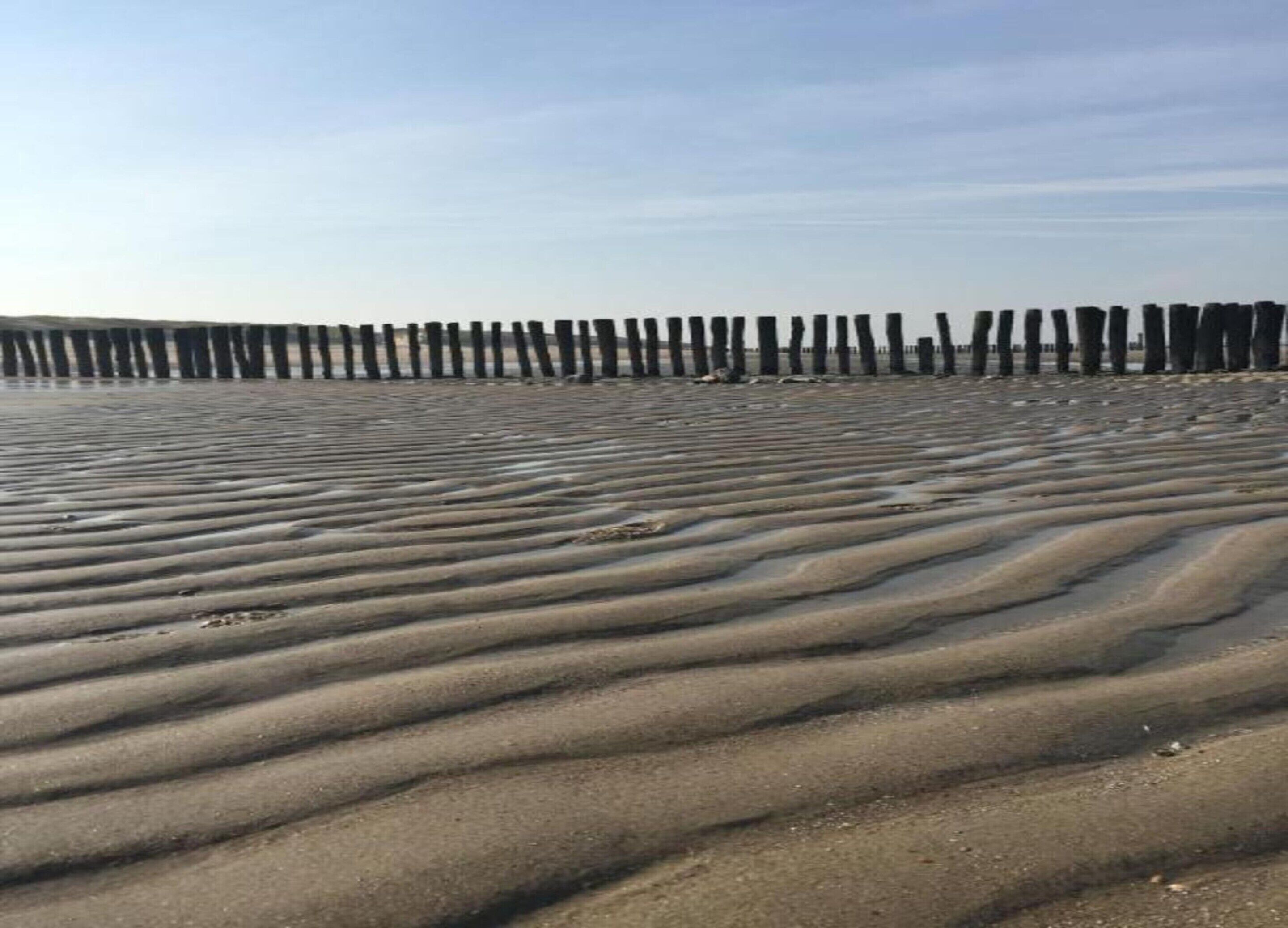 A sandy beach with a wooden fence in the background.