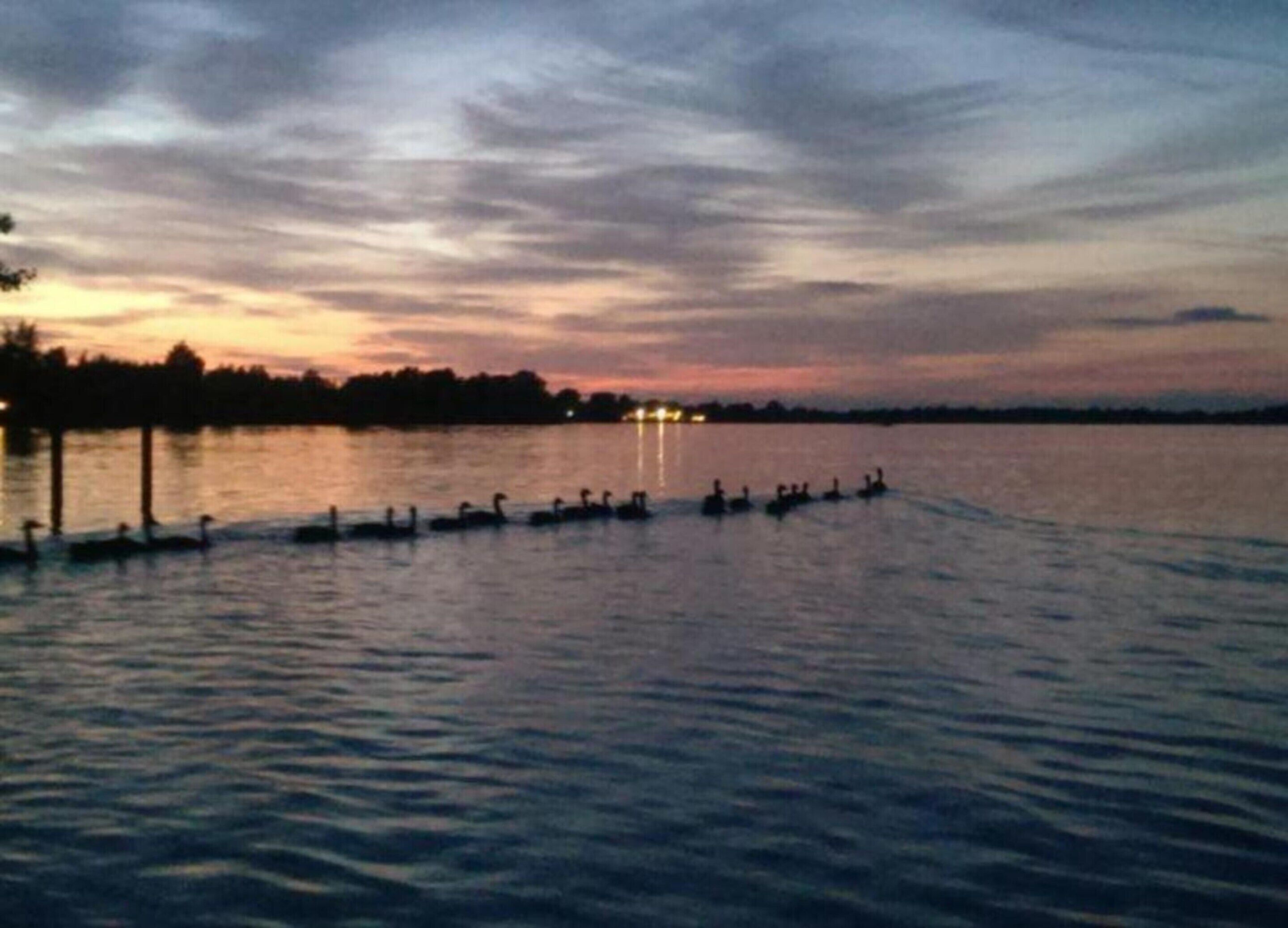 Ein ruhiger See im Abenddämmerung mit einer Reihe von Kanus, die parallel zum Ufer liegen.