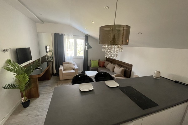 Economy Apartment | Living area