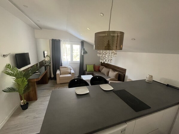 Economy Apartment | Living area