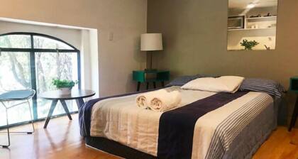 noox Fernández Leal