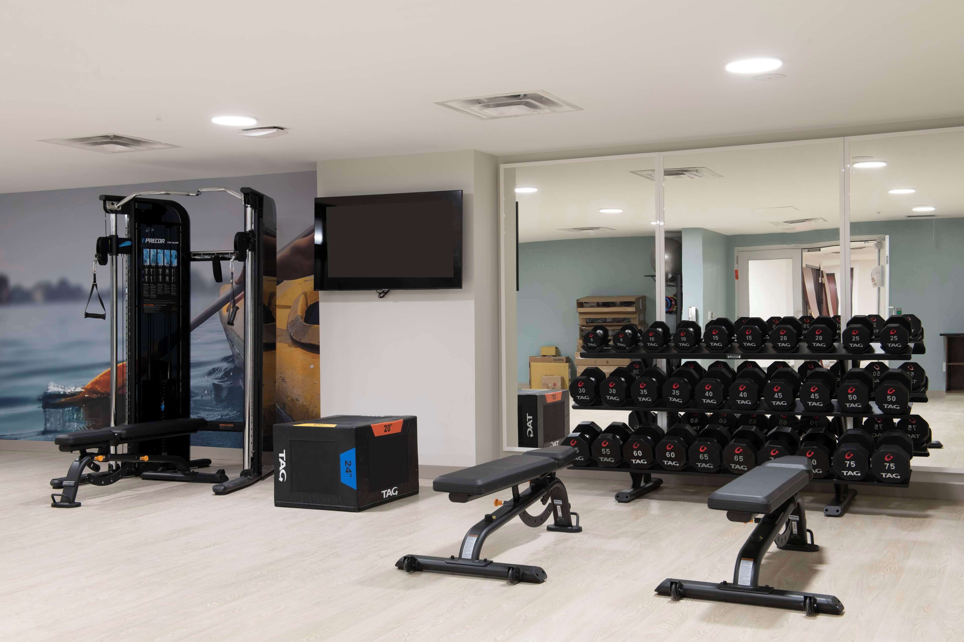 Un gimnasio con equipamiento de levantamiento de pesas, mancuernas y una banca.