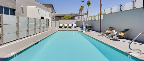 A swimming pool with lounge chairs and a palm tree.