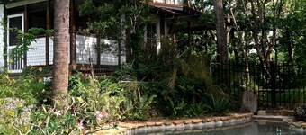 Yellow Cottage in the Woods