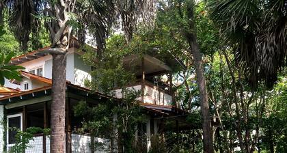 Yellow Cottage in the Woods