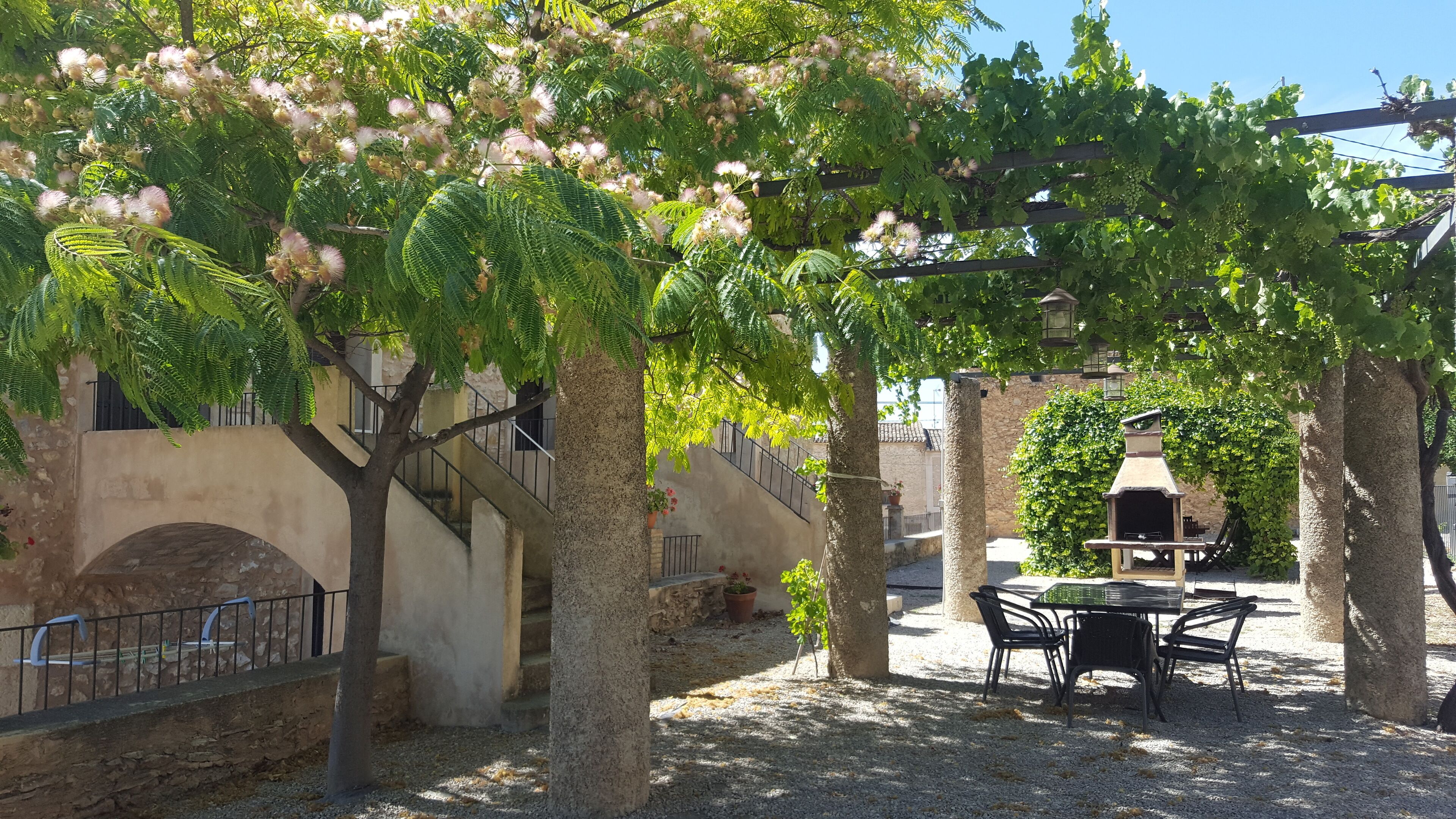 Restauration en plein air