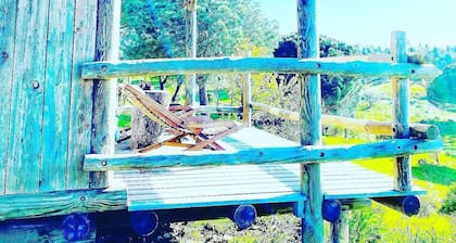 Alentejo Country House - Terra do Sempre