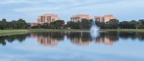Lago