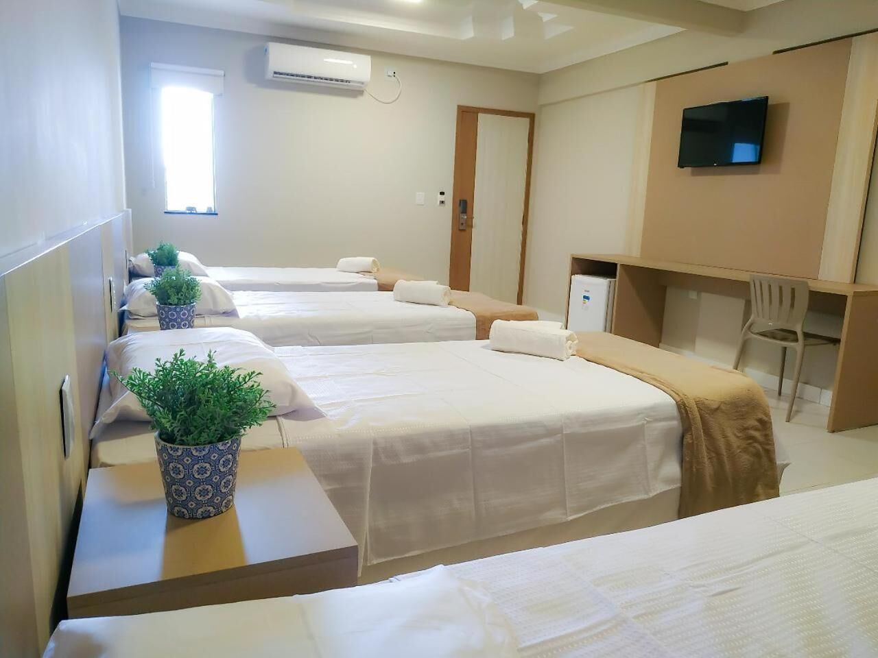 Habitación de hotel con tres camas, un escritorio, un televisor y una planta en maceta.