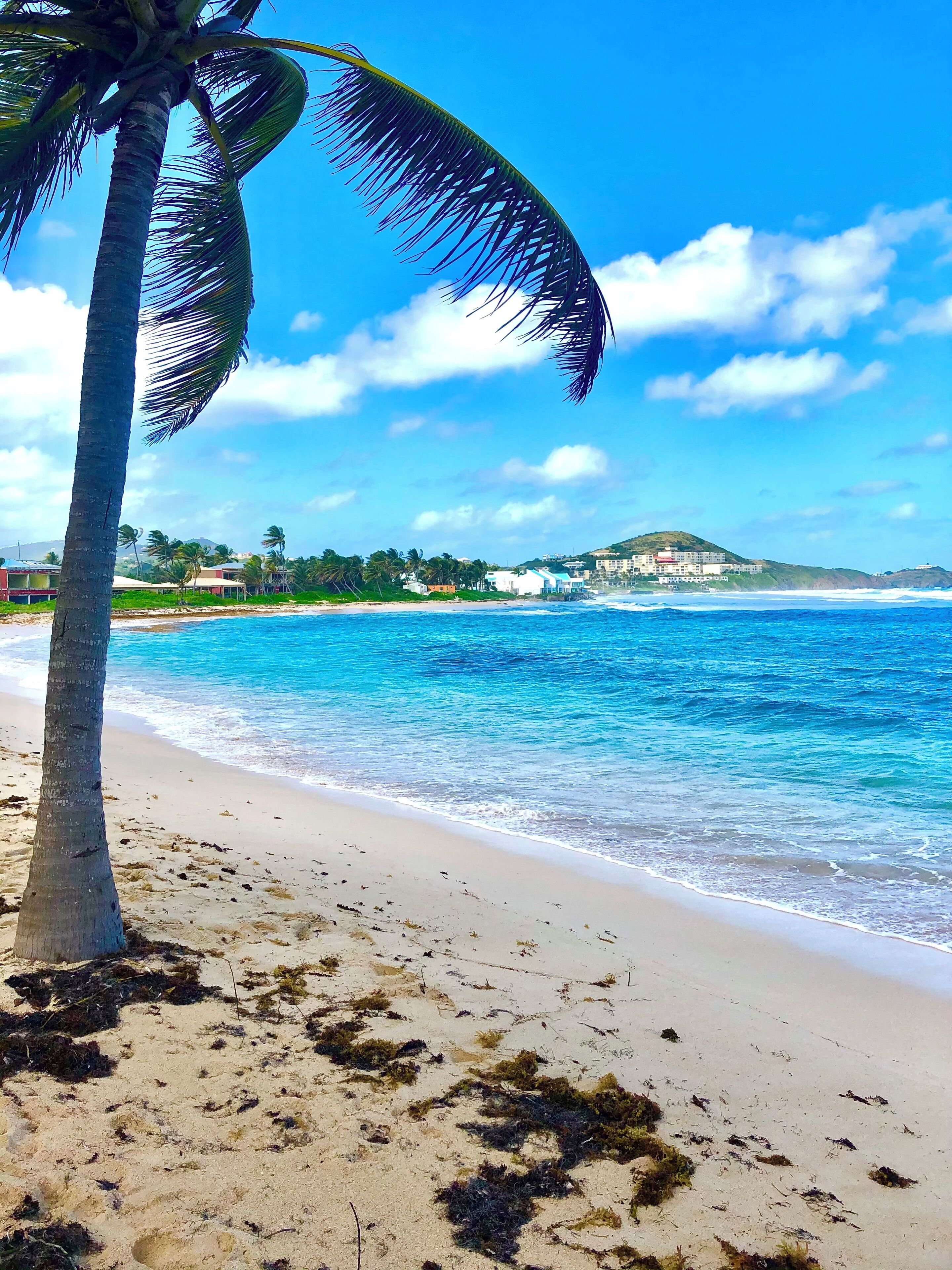 Accommodatie ligt op het strand, ligstoelen, parasols, strandlakens