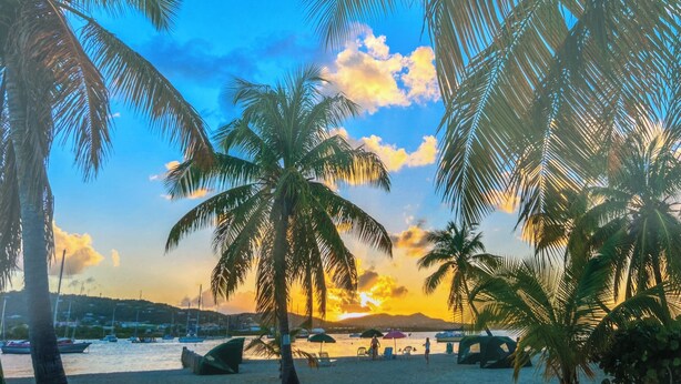 Una playa con palmeras y embarcaciones al fondo.