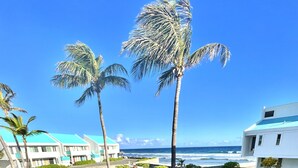 Vista de la playa con una taza blanca en un balcón, palmeras y edificios al fondo.