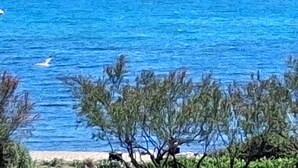 A coastal view with a clear sky, a sandy beach, and some vegetation. - MAGNIFIQUE APPARTEMENT AVEC VUE IMPRENABLE SUR LA MER (LE CAP D AGDE)