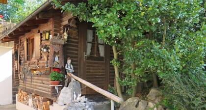 Fewo 90 m², 3 SZ, Liegewiese, seperates WC, Bergblick, W-LAN(Gastzugang)