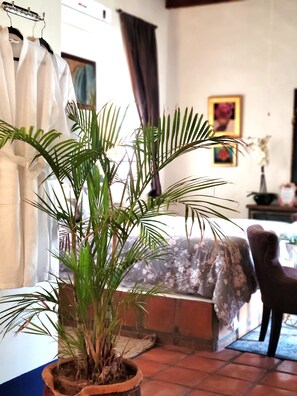 Una planta de palma en maceta en una habitación con cama, una silla y una ventana con cortinas.