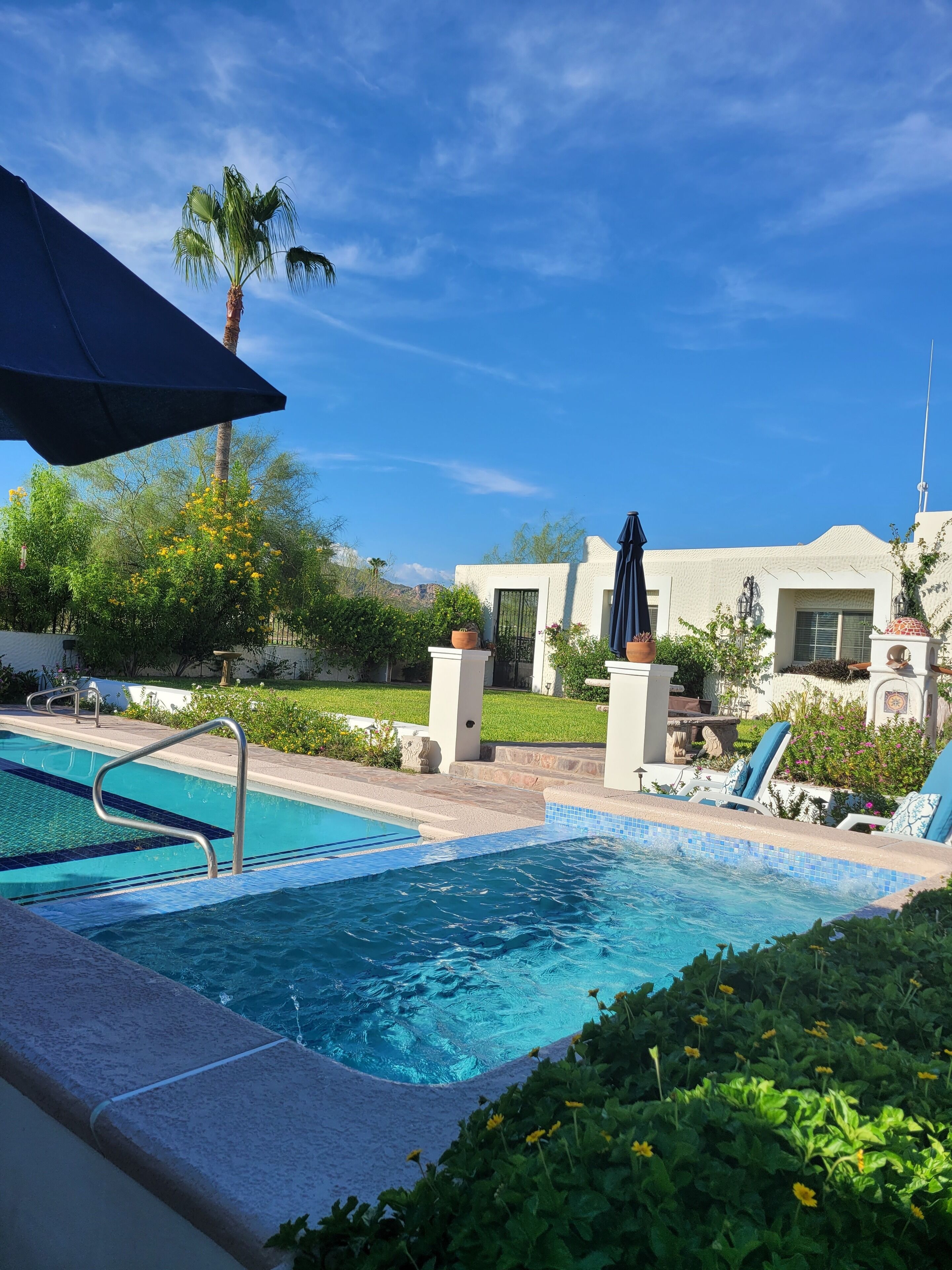 A swimming pool with a clear blue water, surrounded by lounge chairs and a palm tree.