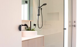 Ducha, secador de pelo, toallas