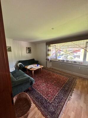 Fernseher, Kamin, DVD-Player