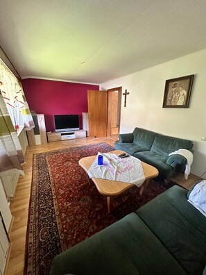 Una sala de estar con un sofá verde, una mesa de centro de madera, un televisor y una alfombra roja con estampado.