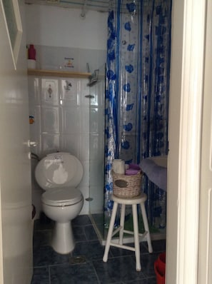 Combined shower/bathtub, hair dryer, towels
