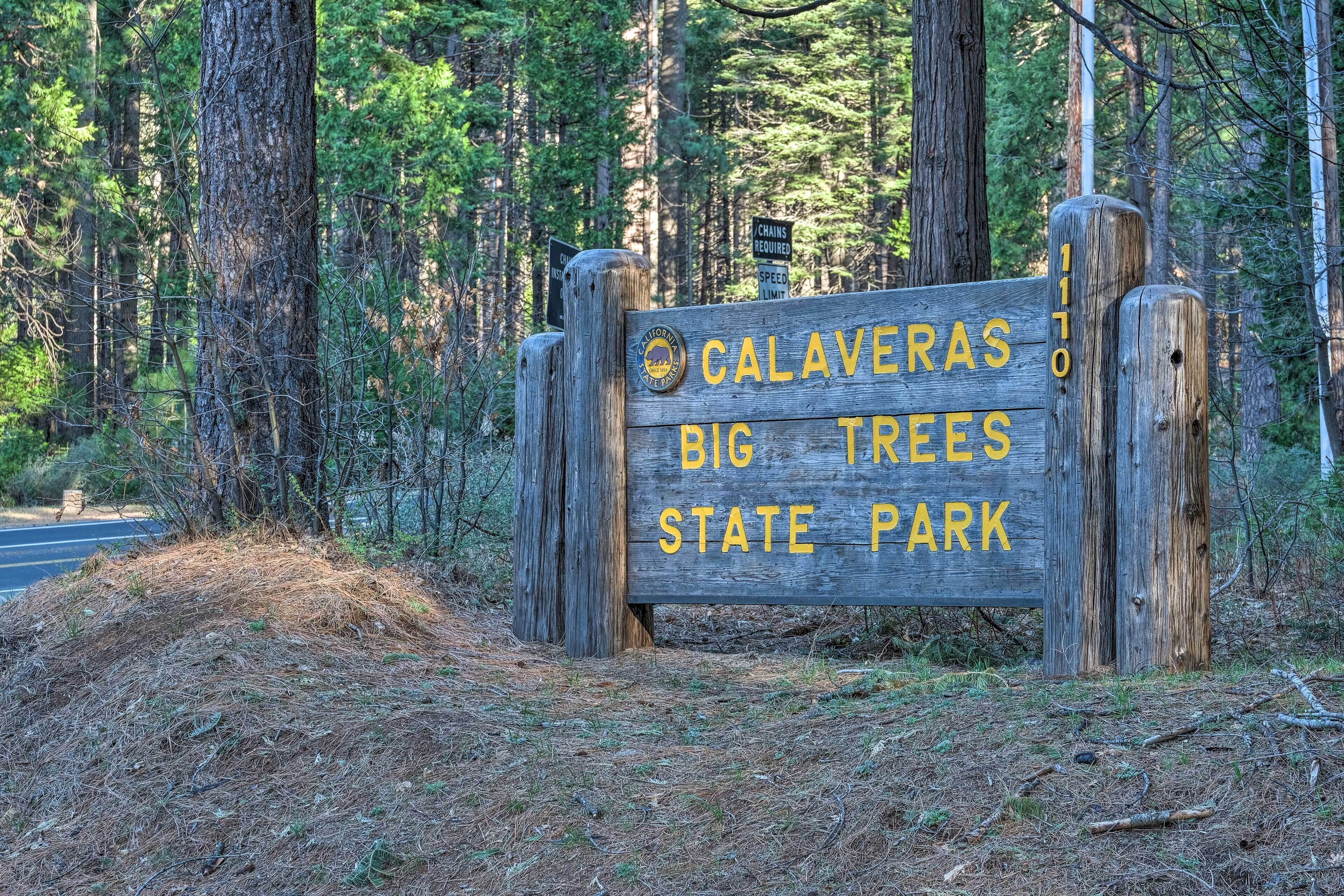 Serene Woodland Cabin: 4 Mi to Big Tree State Park