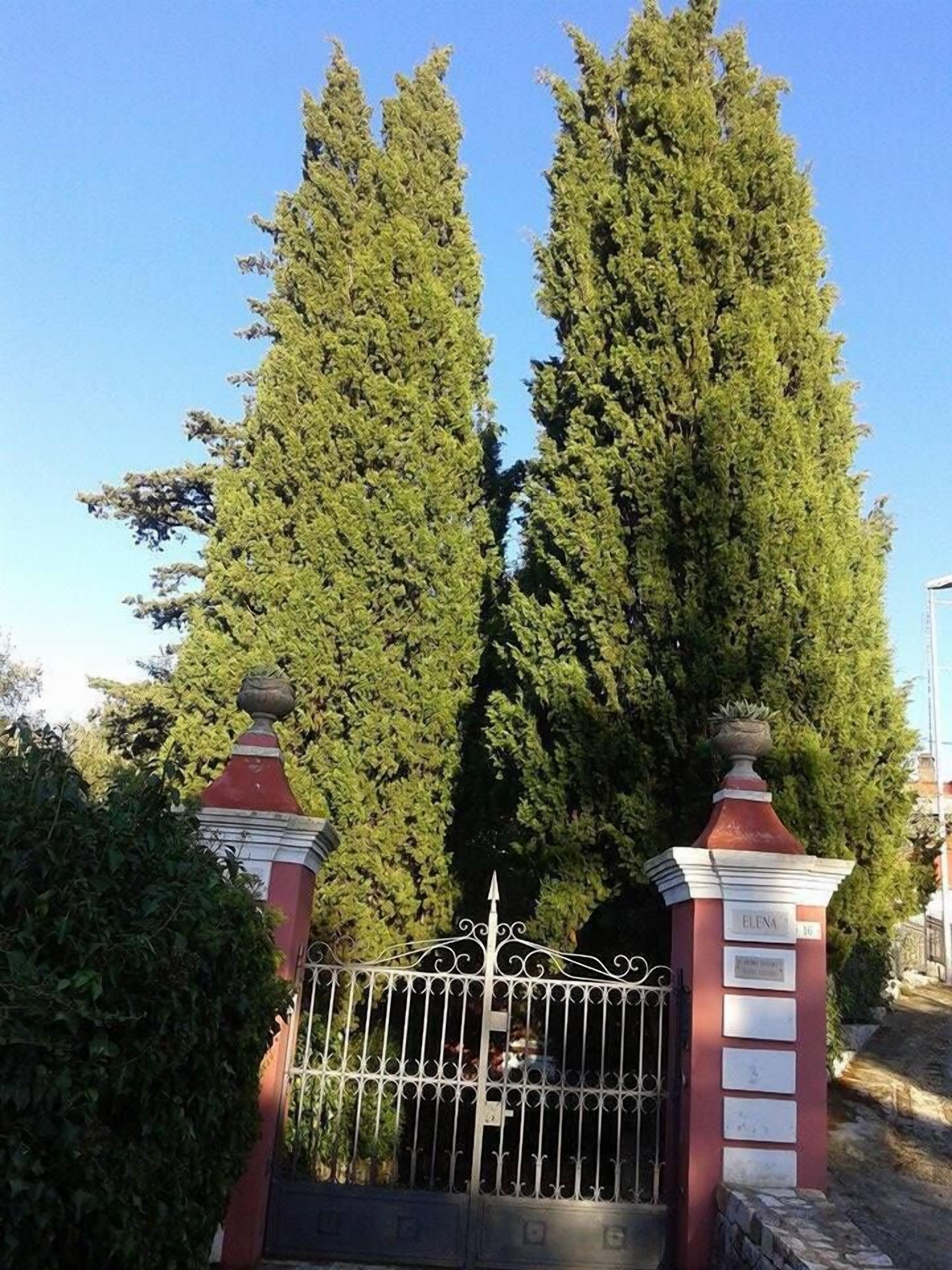 مدخل المنشأة