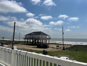 Property grounds - The Pesky Pelican: 4  BR, 3  BA House in Port Bolivar, Sleeps 14 (Port Bolivar)