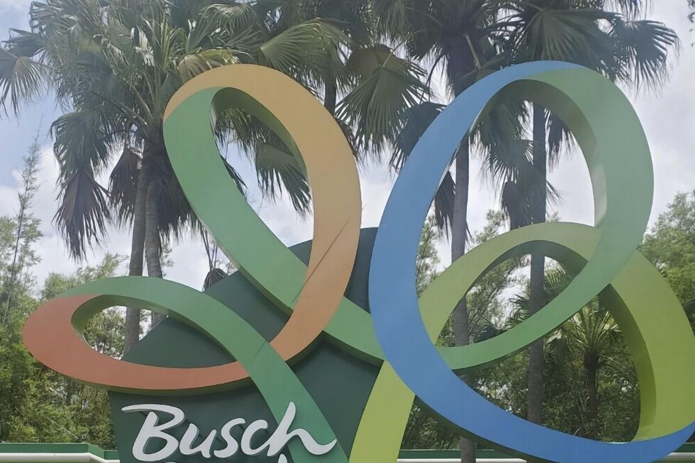 Busch Gardens vacation stay