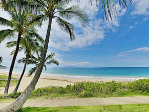 A beach with palm trees, a clear sky, and calm sea. - Sacred South Maui Beach House Sweeping Ocean Views Hot Tub Turtle Shore (Kihei)