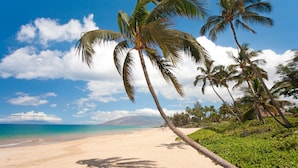 On the beach - Sacred South Maui Beach House Sweeping Ocean Views Hot Tub Turtle Shore (Kihei)