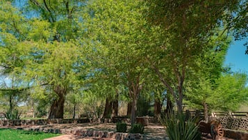 Área para banquetes al aire libre
